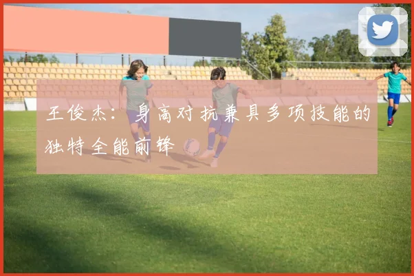王俊杰：身高对抗兼具多项技能的独特全能前锋