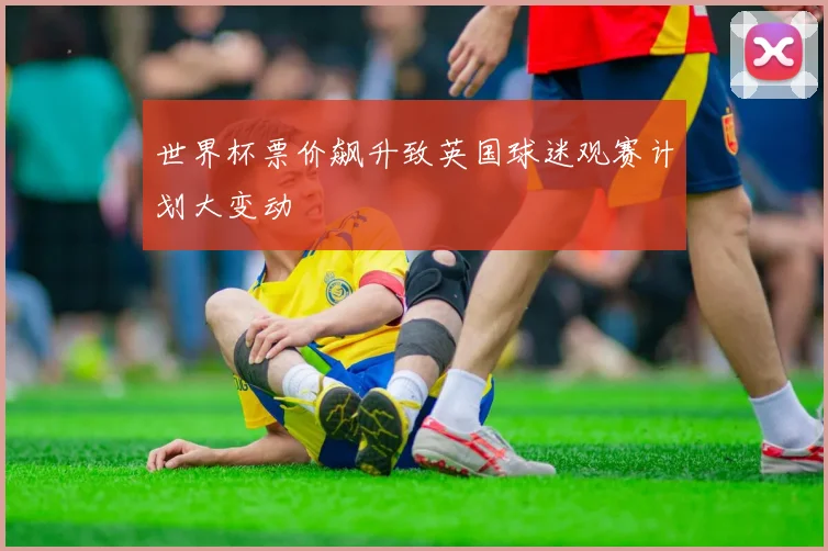 世界杯票价飙升致英国球迷观赛计划大变动