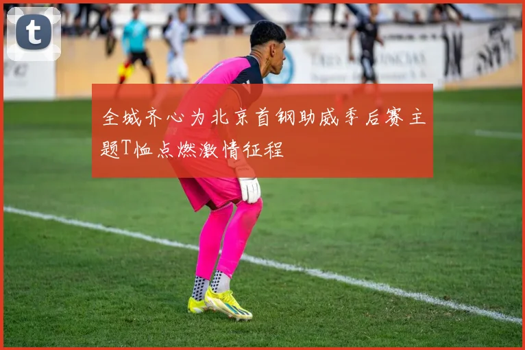 全城齐心为北京首钢助威季后赛主题T恤点燃激情征程