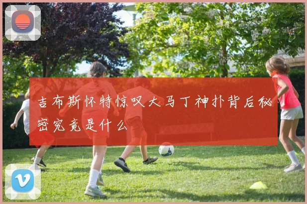 吉布斯怀特惊叹大马丁神扑背后秘密究竟是什么